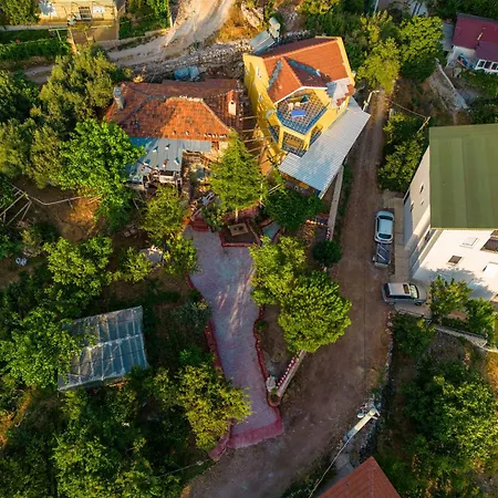 Cardaklikonak